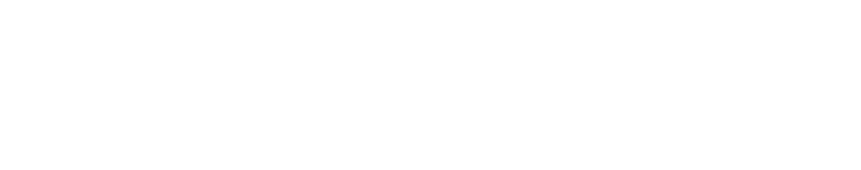 Slogan Technology Solutions